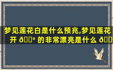 梦见莲花白是什么预兆,梦见莲花开 💮 的非常漂亮是什么 🐶 意思